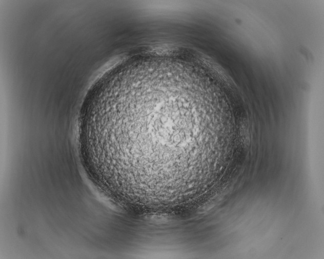 X0000111880730200907231534