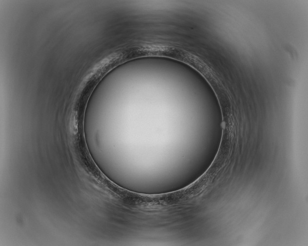 X0000111880731200907231534
