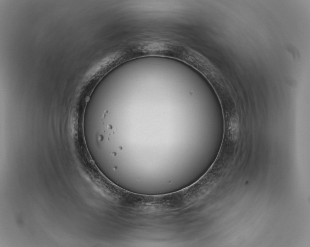 X0000111880732200907231534