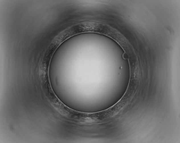 X0000111880737200907231535