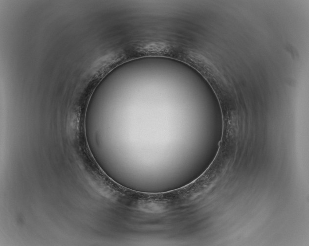 X0000111880739200907231535