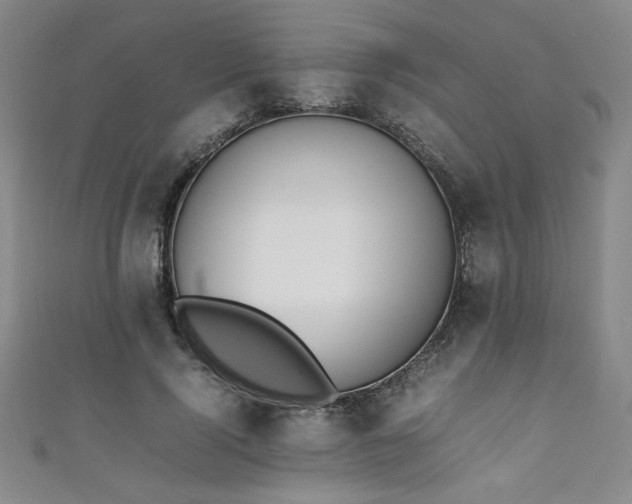 X0000111880740200907231535