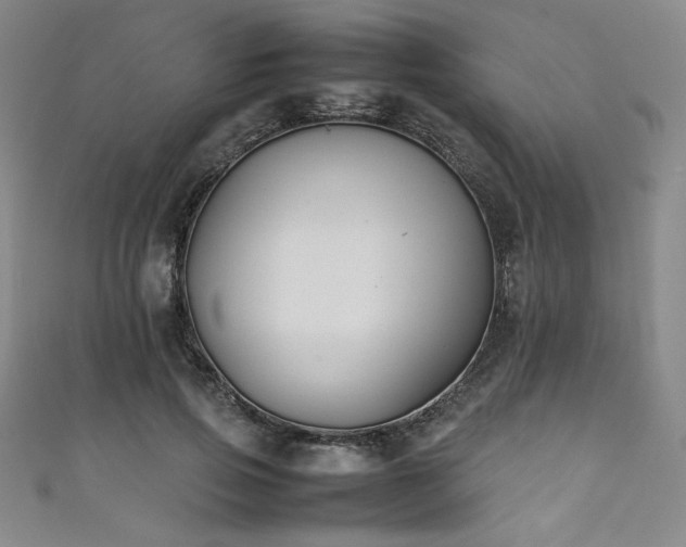 X0000111880741200907231535