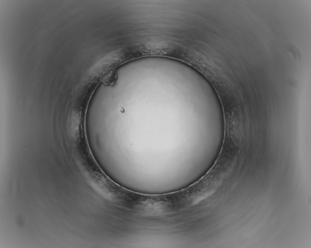 X0000111880742200907231535