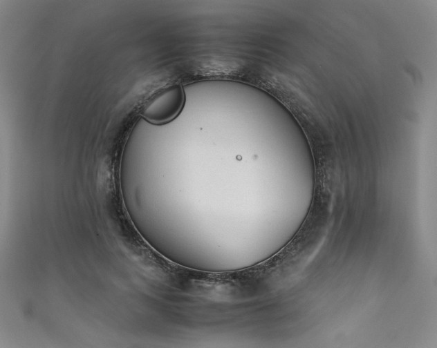 X0000111880743200907231535