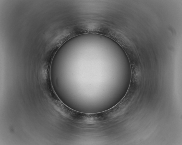 X0000111880746200907231535