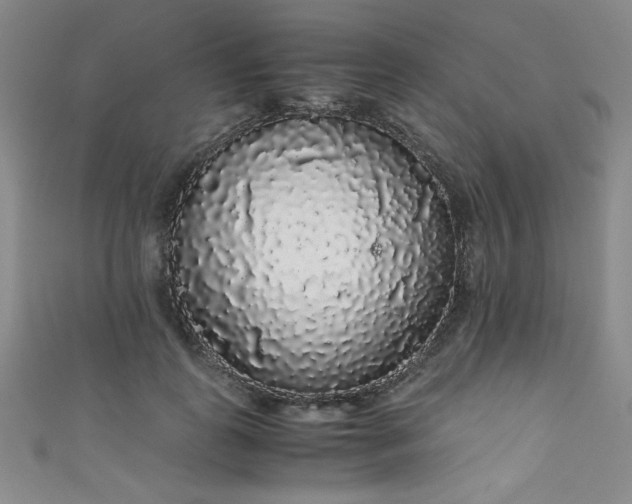 X0000111880747200907231535
