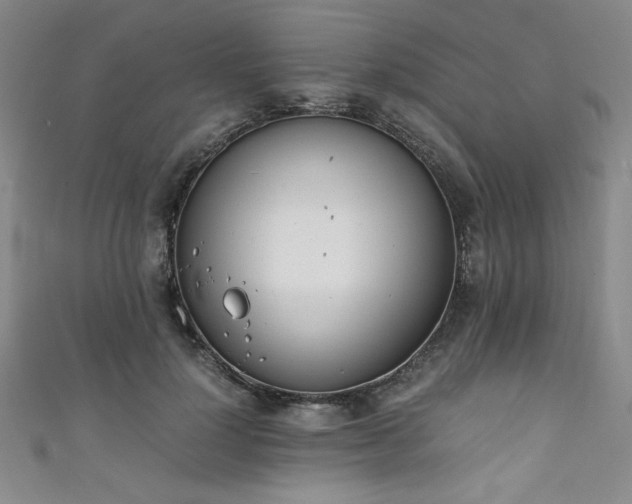X0000111880748200907231535