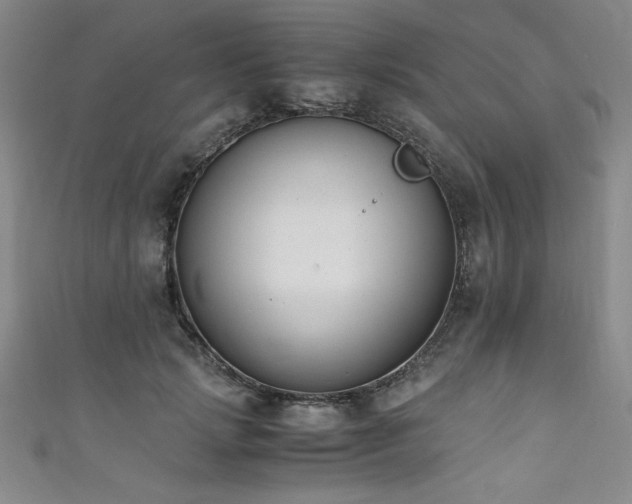X0000111880749200907231535