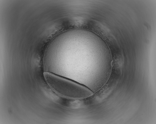 X0000111880750200907231535
