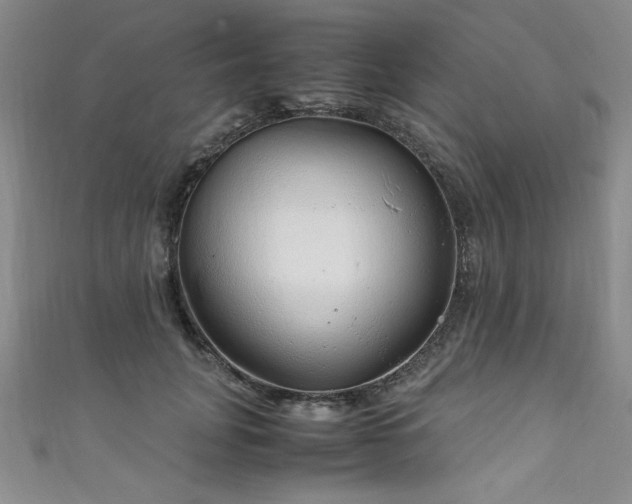 X0000111880751200907231535