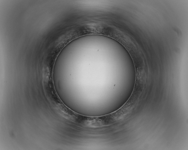 X0000111880752200907231535