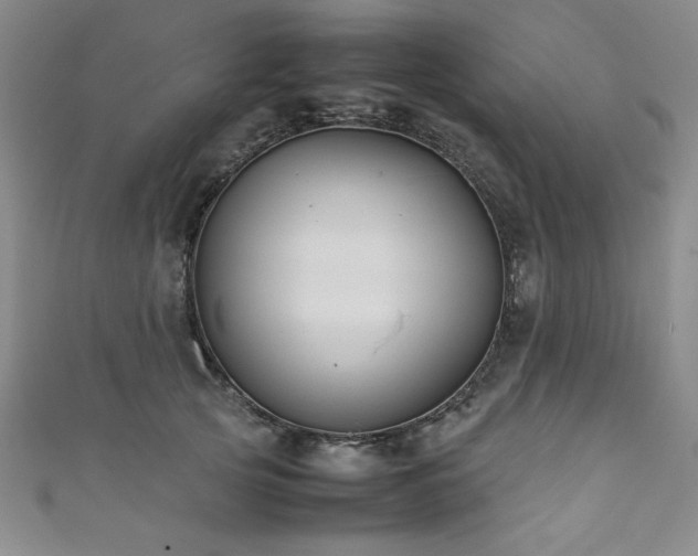 X0000111880753200907231535