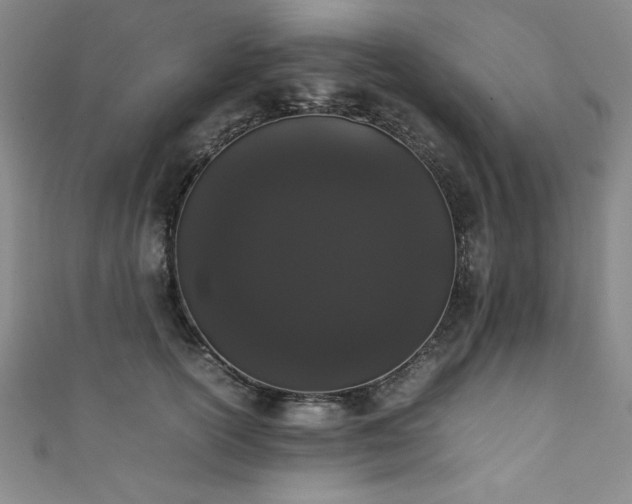 X0000111880754200907231535