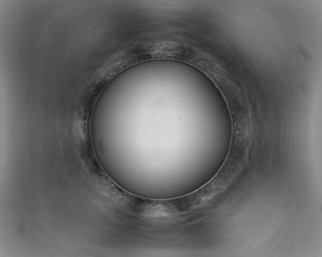 X0000111880755200907231535