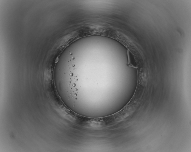 X0000111880756200907231535