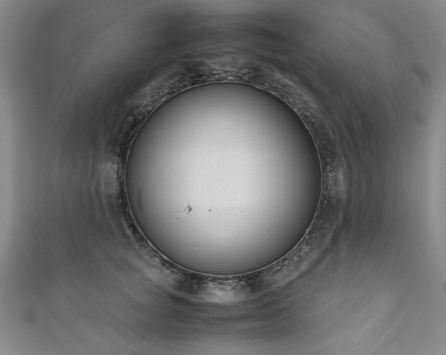 X0000111880757200907231535