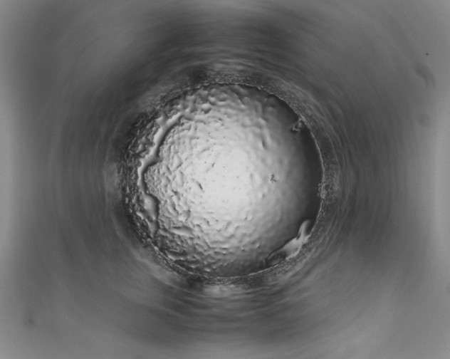 X0000111880759200907231535
