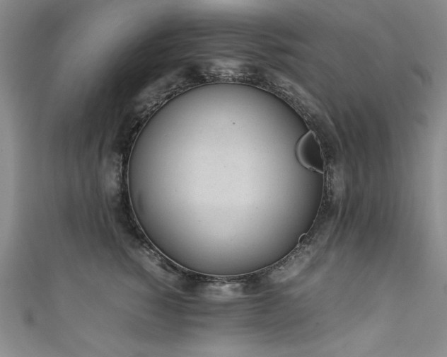 X0000111880760200907231535