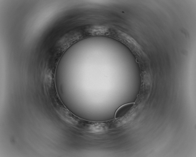 X0000111880761200907231535