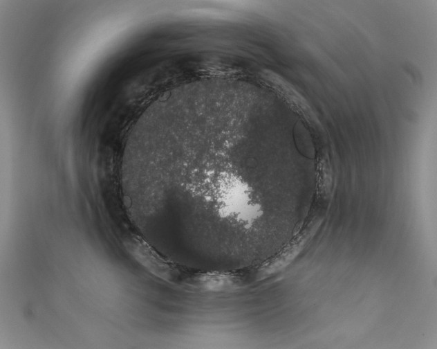 X0000111880762200907231535