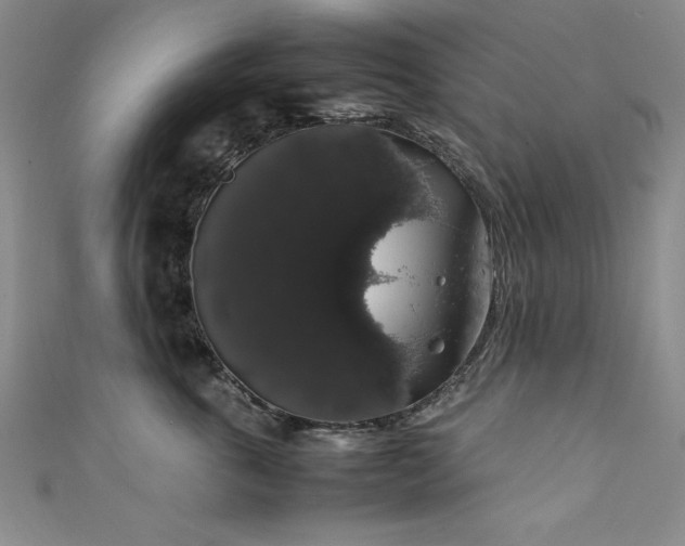 X0000111880763200907231535