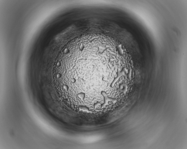 X0000111880765200907231535