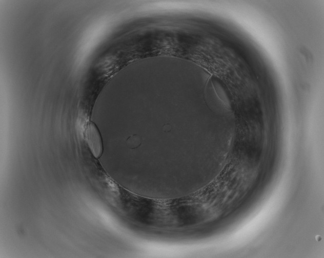X0000111880766200907231535