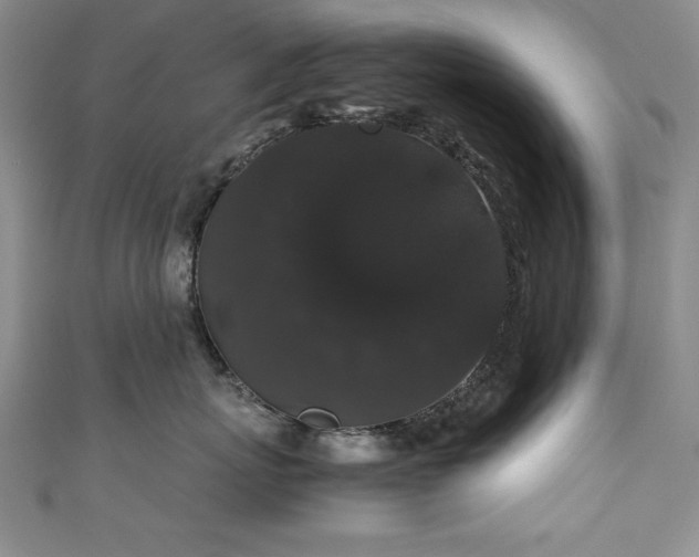 X0000111880767200907231535