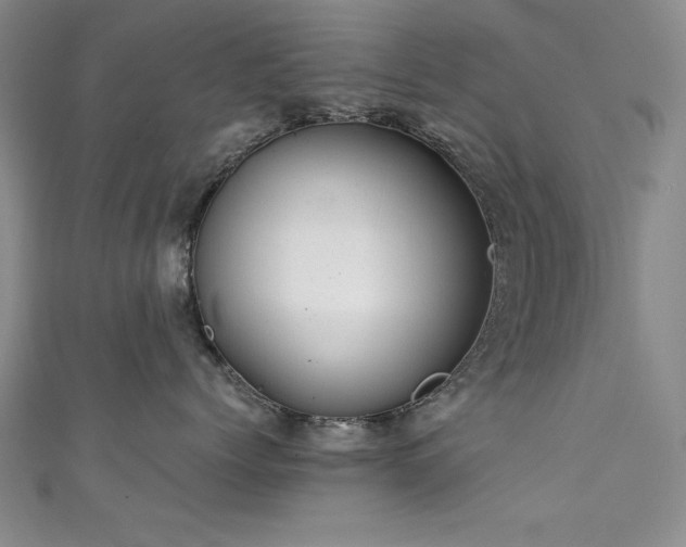 X0000111880768200907231535