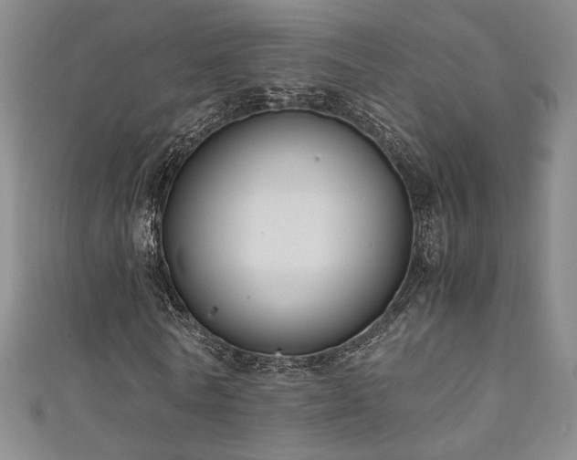 X0000111880770200907231534