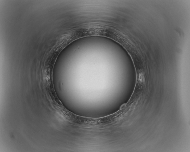 X0000111880771200907231534