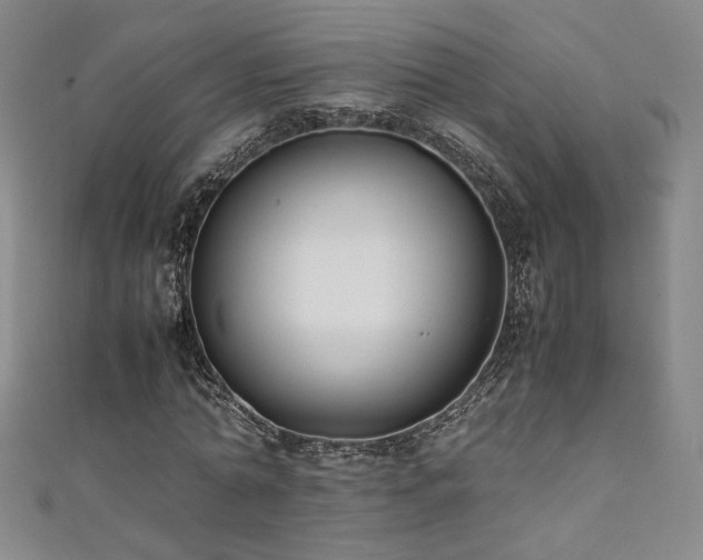 X0000111880774200907231534