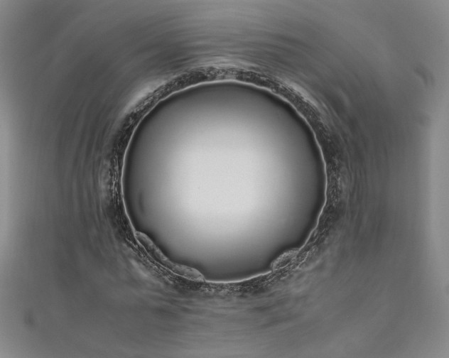 X0000111880775200907231534