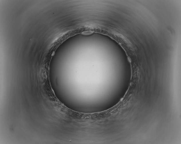 X0000111880776200907231534