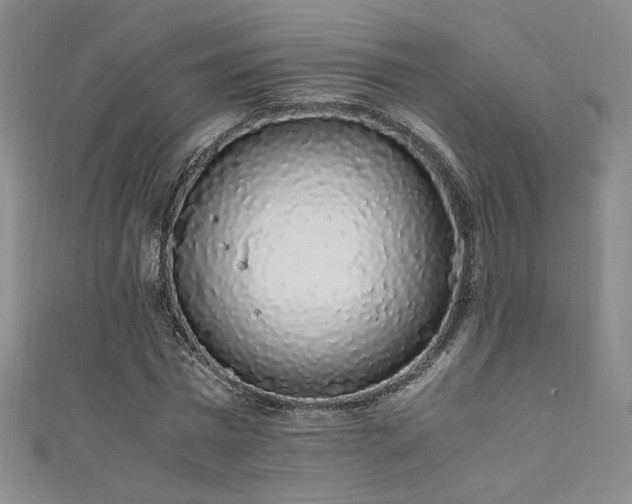 X0000111880777200907231534