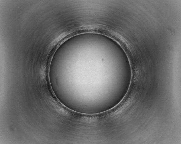 X0000111880778200907231534