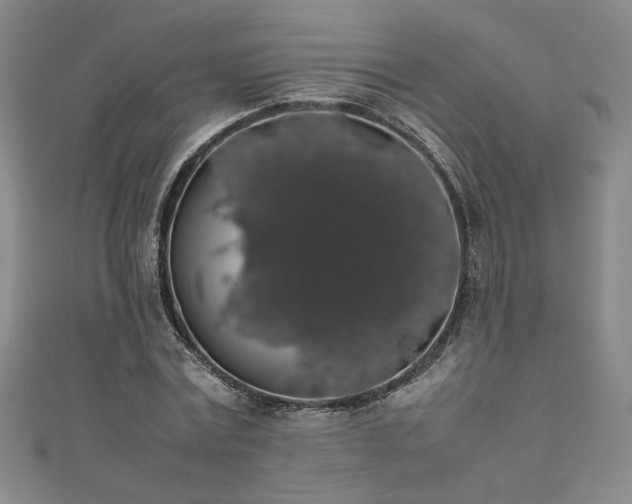 X0000111880779200907231534