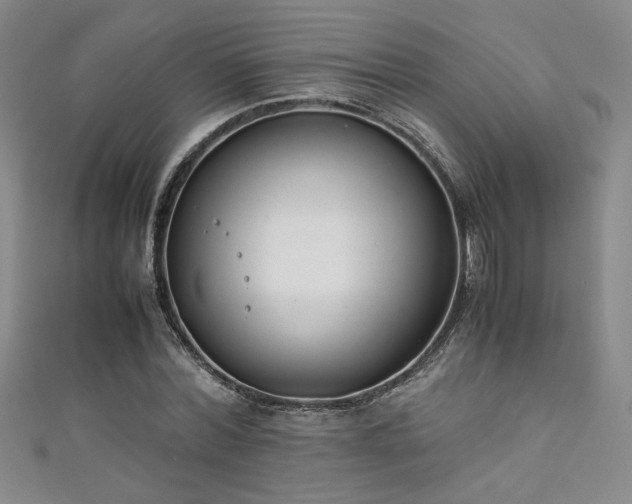 X0000111880780200907231534