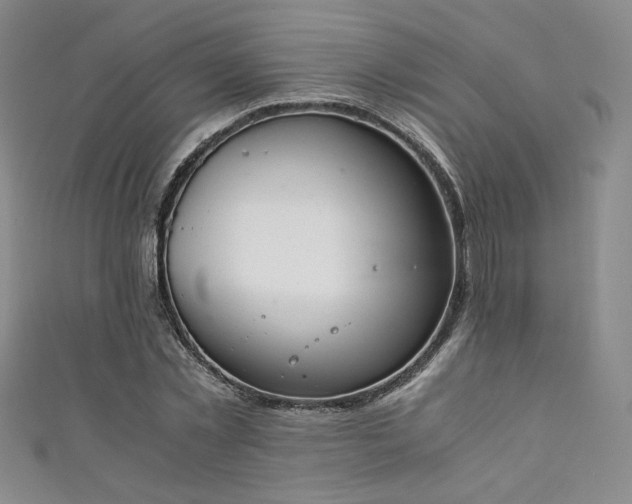 X0000111880781200907231534