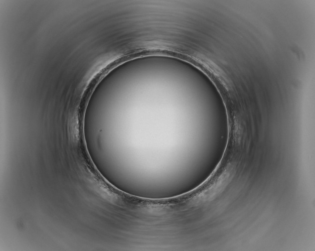 X0000111880782200907231534