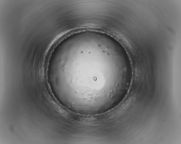 X0000111880784200907231534