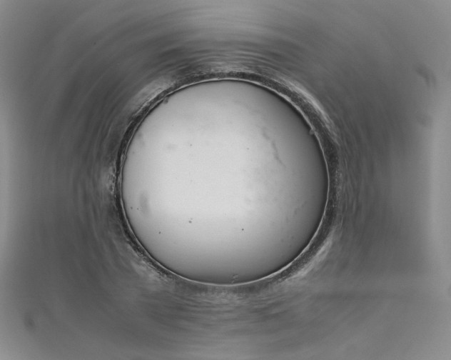 X0000111880785200907231534