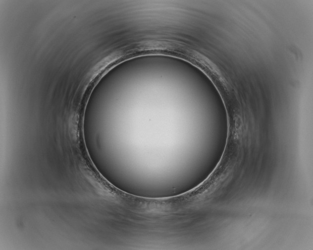 X0000111880786200907231534