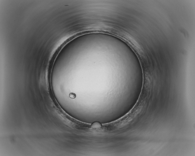 X0000111880788200907231534