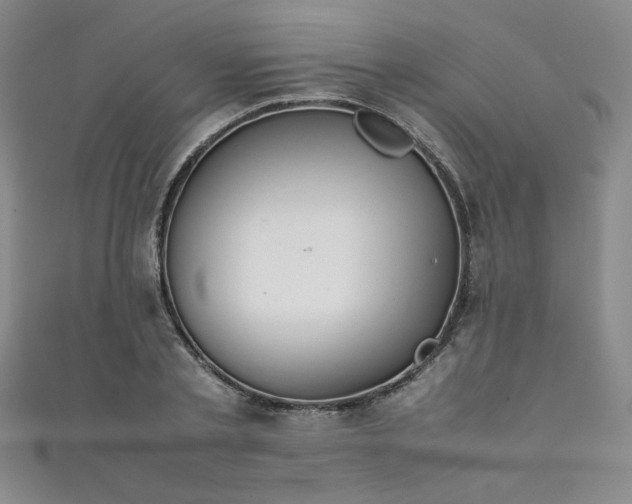 X0000111880789200907231534