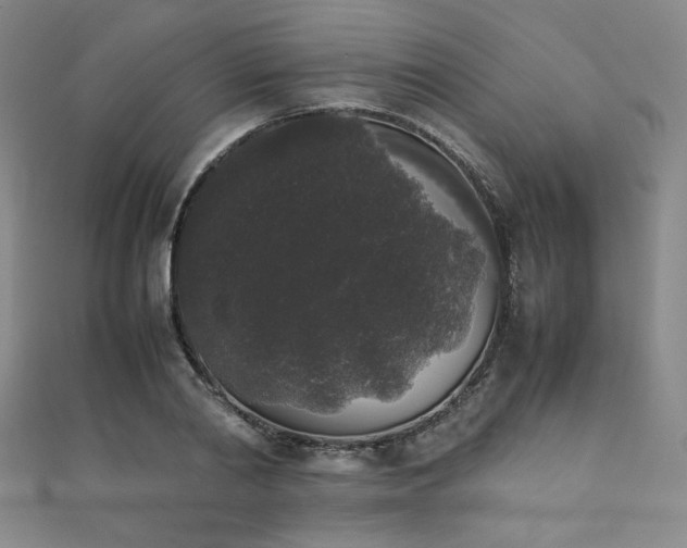 X0000111880790200907231534