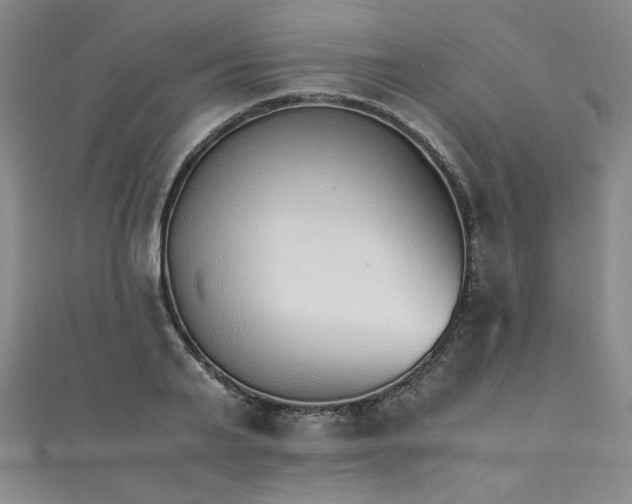 X0000111880791200907231534