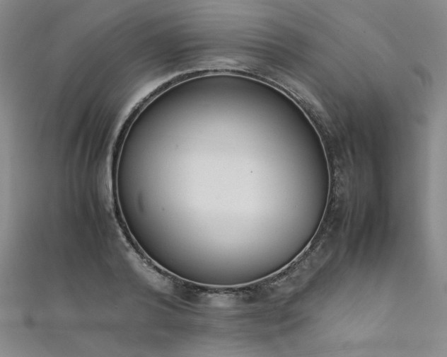 X0000111880792200907231534