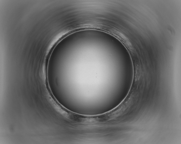 X0000111880796200907231534
